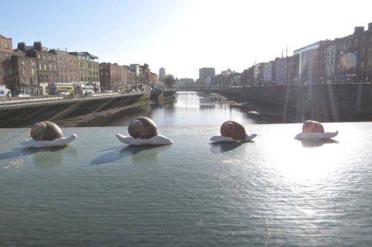 dublinsnails